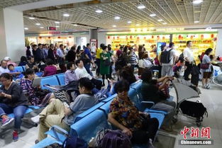 海南出臺(tái)商品住宅價(jià)格備案新規(guī) 備案后半年內(nèi)不得調(diào)高，助力旅游業(yè)發(fā)展